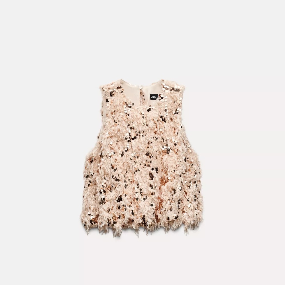 Zara Frayed Sequin Feathered Top